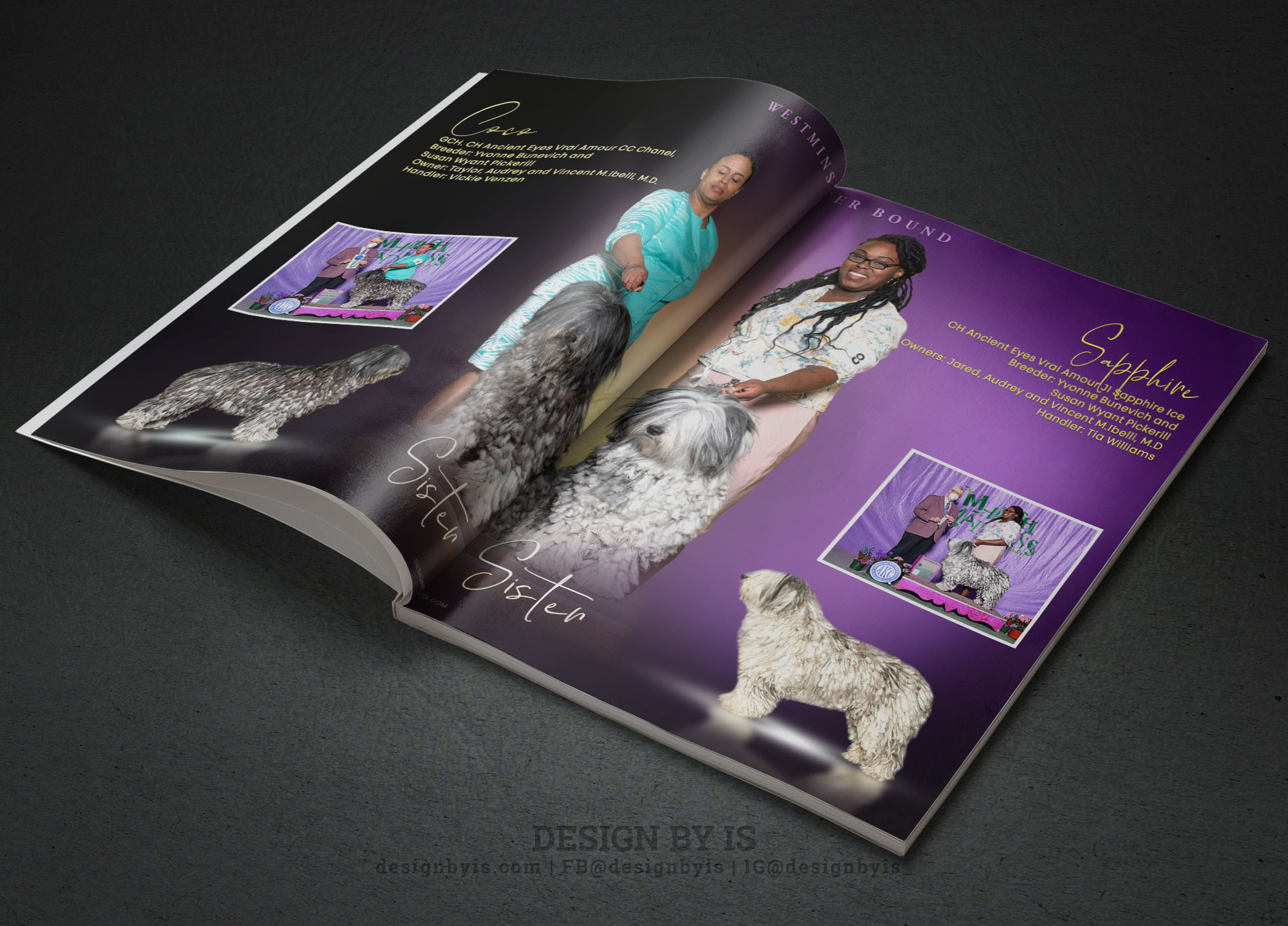 Dog magazine advert design