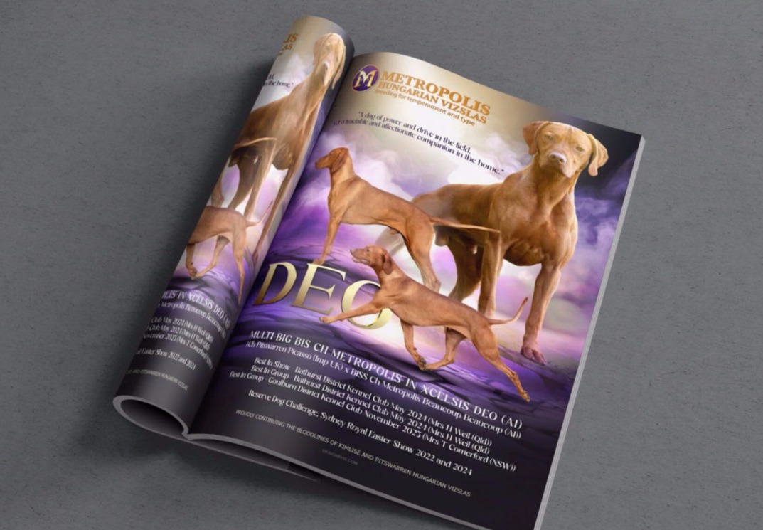Dog magazine Ads