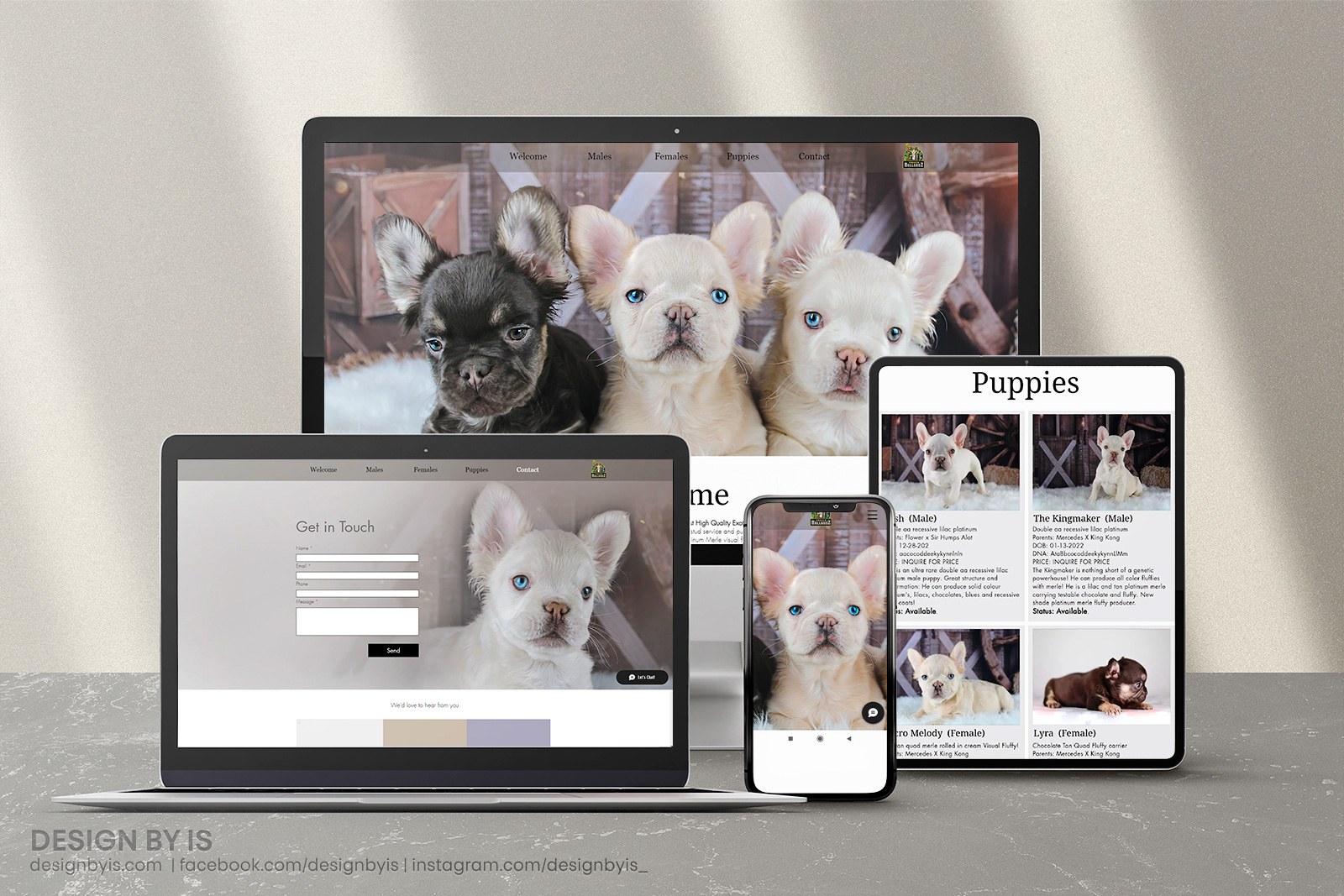 Fluffy frenchies breeder website design