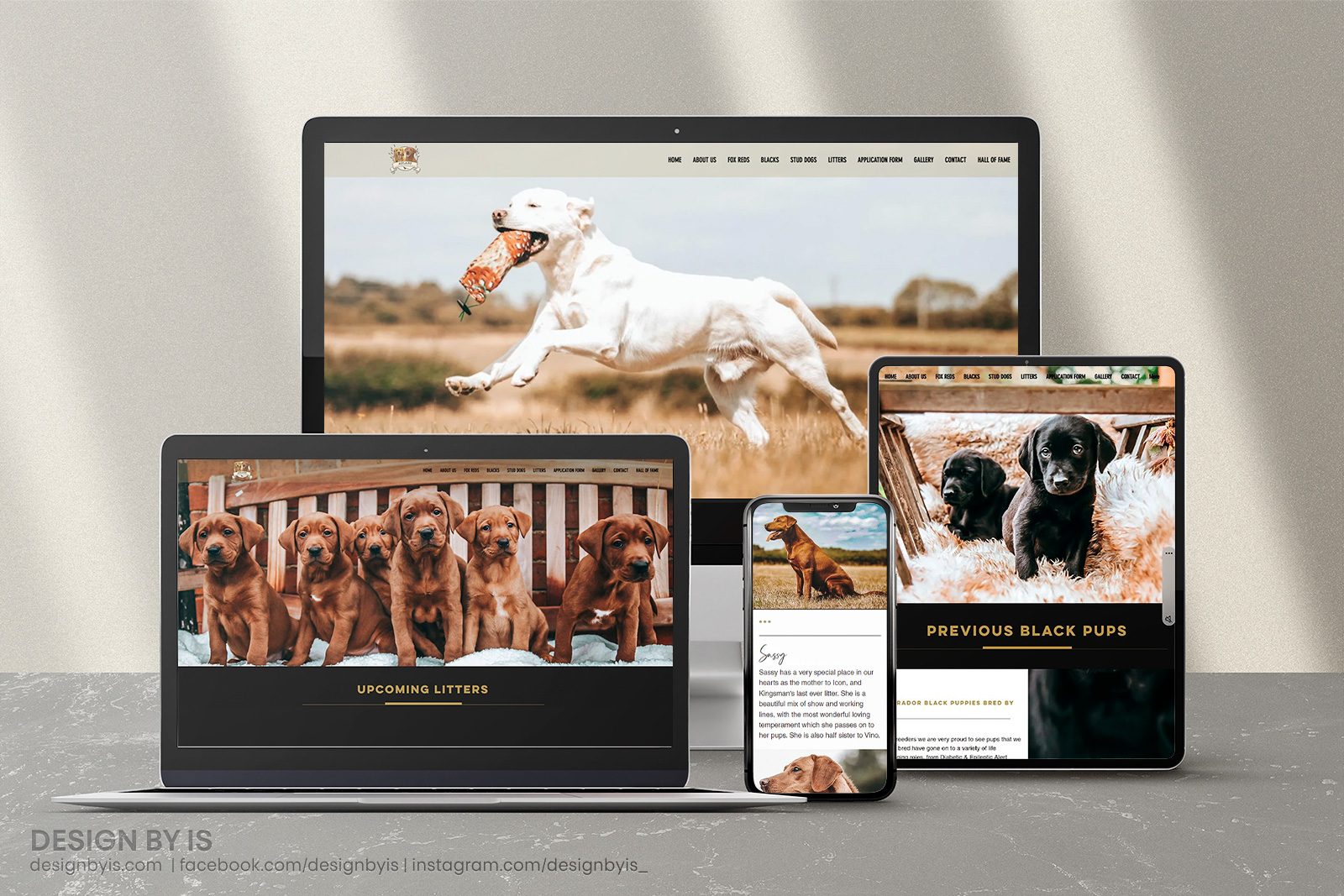 Labrador website design