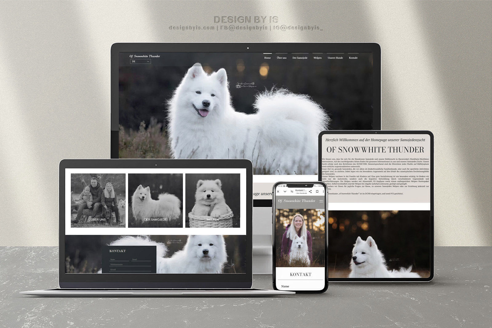 Snowwhite Thunder. Samoyed Kennel Website