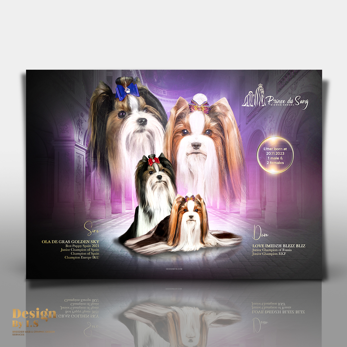 Litter presentation banner